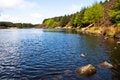 Free Fishing Lake Stock Photos - 9384683
