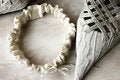 Free Garter And Shoe Royalty Free Stock Photo - 9385655