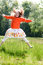 Free Jumping In The Field Stock Photography - 9382492