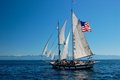 Free Tall Ship Sail Royalty Free Stock Images - 9397029