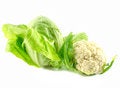 Free Cauliflower And Cabbage Isolated Stock Photos - 9397933