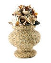 Free A Sea-shell Vase Isolated Royalty Free Stock Image - 9398436