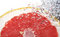 Free Fruit With Bubbles Stock Image - 9394371
