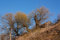 Free Rural Landscape Royalty Free Stock Photo - 9394755