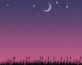 Free Night Field Stock Photo - 949570