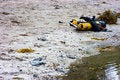Free Diving Royalty Free Stock Image - 9402806