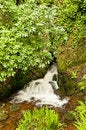 Free Waterfall With Trees Stock Image - 9403461