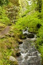 Free Stream With Path Royalty Free Stock Photos - 9403468