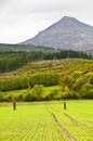 Free Standing Stones Royalty Free Stock Photos - 9403508
