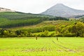 Free Standing Stones Stock Photo - 9403520