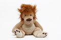 Free Teddy Tiger Stock Photos - 9406013
