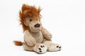 Free Teddy Tiger Royalty Free Stock Photography - 9406027