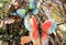 Free Butterfly Decor Stock Photography - 9406612