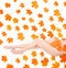 Free Autumn Beauty Royalty Free Stock Image - 9407656
