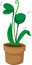 Free A Pot Plant Royalty Free Stock Photography - 9409427