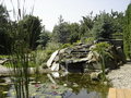 Free Garden Detail Stock Photos - 9412133