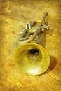 Free Trumpet Royalty Free Stock Photography - 9413847