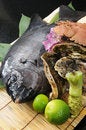 Free Fish Royalty Free Stock Images - 9416799