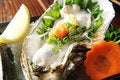 Free Mussels Royalty Free Stock Photography - 9417277