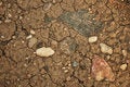 Free Land Texture Royalty Free Stock Photo - 9419345