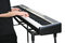 Free Keyboard Player Stock Images - 9413534
