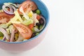Free Fresh Garden Salad Royalty Free Stock Photography - 9420107