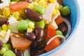 Free Fresh Garden Salad II Stock Image - 9420191