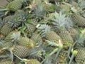 Free Pineapple Harvest Stock Photography - 9420222