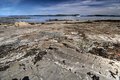 Free Protection Island British Columbia Royalty Free Stock Photo - 9423435