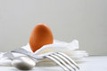 Free Egg Of Table 1 Royalty Free Stock Photography - 9423727