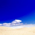 Free Sun Dunes Royalty Free Stock Photography - 9424407
