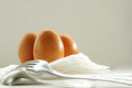Free Egg S Of Table Royalty Free Stock Photography - 9425407