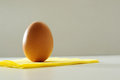 Free One Egg Stock Photo - 9425500