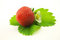 Free Strawberry Stock Photos - 9421653