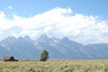 Free Grand Teton Mormon Row Royalty Free Stock Photo - 9443005