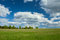 Free Spring Field Royalty Free Stock Photos - 9454418