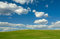 Free Spring Field Stock Images - 9454454