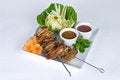 Free Chicken Wing Skewers Royalty Free Stock Photos - 9468338