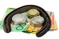 Free Horse Shoe And Money Stock Image - 9468431