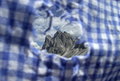 Free Odle - Dolomites (Italy) Royalty Free Stock Image - 9471376