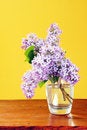 Free Lilacs Royalty Free Stock Photo - 9472675