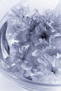 Free Harmony In Water Stock Photos - 9478733