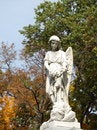Free Sculpture Of Angel With Trees Stock Images - 9479444