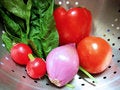 Free Fresh Produce Royalty Free Stock Photo - 9485805