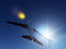 Free Plane At Night Royalty Free Stock Photo - 9485395
