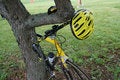 Free Biking Equipment On Tree Stock Photography - 950022