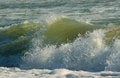 Free Wave Royalty Free Stock Photos - 950788