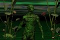 Free Goblin In His Lands Stock Images - 951274