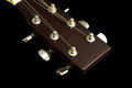 Free Guitar Head Royalty Free Stock Photography - 951707