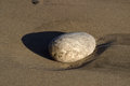 Free Light Pebble On Dark Sand Stock Image - 953521